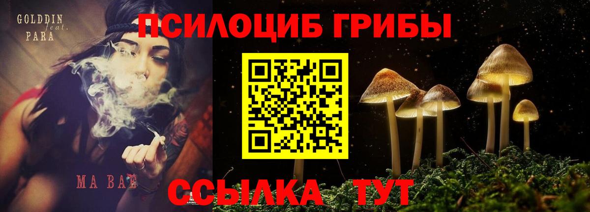 Псилоцибиновые грибы GOLDEN TEACHER  Галлюциногенные грибы мухоморы  Советский  Вход с VPN 